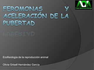 Ecofisiología de la reproducción animal

Olivia Grisell Hernández García

 
