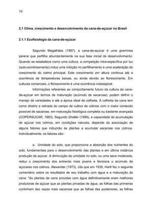 10
2.1 Clima, crescimento e desenvolvimento da cana-de-açúcar no Brasil
2.1.1 Ecofisiologia da cana-de-açúcar
Segundo Magalhães (1987), a cana-de-açúcar é uma gramínea
perene que perfilha abundantemente na sua fase inicial de desenvolvimento.
Quando se estabelece como uma cultura, a competição intra-específica por luz
(auto-sombreamento) induz uma inibição no perfilhamento e uma aceleração do
crescimento do colmo principal. Este crescimento em altura continua até a
ocorrência de temperaturas baixas, ou ainda devido ao florescimento. Em
culturas comerciais, o florescimento é uma ocorrência indesejável.
Informações referentes ao comportamento futuro da cultura da cana-
de-açúcar em termos de maturação (acúmulo de sacarose), podem definir o
manejo de variedades e até a época ideal de colheita. A colheita da cana tem
como diretriz a retirada do campo de cultivo de colmos com o maior conteúdo
possível de sacarose, em maturação fisiológica completa ou bastante avançada
(COPERSUCAR, 1983). Segundo Gheller (1999), a capacidade de acumulação
de açúcar nos colmos, em condições naturais, depende da associação de
alguns fatores que induzirão às plantas a acumular sacarose nos colmos.
Individualmente, os fatores são:
a. Umidade do solo, que proporciona a absorção dos nutrientes do
solo, fundamentais para o desenvolvimento das plantas e em última instância
produção de açúcar. A diminuição da umidade no solo, ou uma seca moderada,
reduz o crescimento dos entrenós mais jovens e favorece o acúmulo de
açúcares nos colmos. Alexander (1973), cita que em 1939, Hartt fez o seguinte
comentário sobre os resultados de seu trabalho com água e a maturação da
cana: "As plantas de cana providas com água definitivamente eram melhores
produtoras de açúcar que as plantas privadas de água, as folhas das primeiras
continham dez vezes mais sacarose que as folhas das posteriores, as folhas
 
