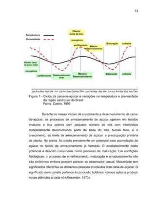 13
Plantio Cana
de ano e meio
perfilhamento
emergência
Máximo
Desenvolvimento
Maturação colheita
Desenvolvimento
lento
Máximo
Desenvolvimento
perfilhamento
Maturação colheita
Plantio
Cana de ano
MarJan Fev Abr Mai Jun Jul Ago Set OutNov Dez Jan FevMar Abr JunJul AgoSet Out Nov DezMai
Temperatura
emergênciaPluviosidade
Figura 1 - Ciclos da cana-de-açúcar e variações na temperatura e pluviosidade
da região centro-sul do Brasil
Fonte: Castro, 1999
Durante os meses iniciais de crescimento e desenvolvimento da cana-
de-açúcar, os processos de armazenamento de açúcar operam em tecidos
imaturos e nos colmos com pequeno número de nós com internódios
completamente desenvolvidos perto da base do talo. Nessa fase, é o
crescimento, ao invés de armazenamento de açúcar, a preocupação primária
da planta. Na planta, foi criado previamente um potencial para acumulação de
açúcar no tecido de armazenamento já formado. O estabelecimento deste
potencial é descrito comumente como processo de maturação. Em condições
fisiológicas, o processo de envelhecimento, maturação e amadurecimento não
são sinônimos embora possam parecer ao observador casual. Maturidade tem
significados diferentes as diferentes pessoas envolvidas com cana-de-açúcar. O
significado mais correto pertence à conclusão botânica: colmos aptos a produzir
novas plântulas a cada nó (Alexander, 1973).
 