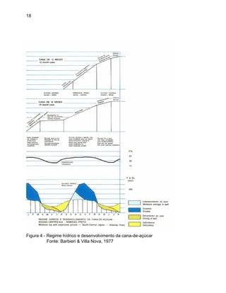 18
Figura 4 - Regime hídrico e desenvolvimento da cana-de-açúcar
Fonte: Barbieri & Villa Nova, 1977
 