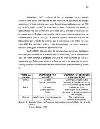 23
Magalhães (1987), confirma tal fato, ao escrever que a cana-de-
açúcar é uma planta considerada de alta eficiência na conversão de energia
radiante em energia química, com taxas fotossintéticas calculadas em até 100
mg de CO2 fixado por dm2
de área foliar por hora. Entretanto, alta eficiência
fotossintética não está diretamente associada com a elevada produtividade de
biomassa. As evidências experimentais indicam que a grande capacidade da
cana-de-açúcar para a produção de matéria orgânica reside na alta taxa de
fotossínte
de Hatch durante o processo evolutivo no melhoramento da cana, a
arquitetura com folhas mais eretas e a força de dreno de sacarose no colmo,
sã ssas c c
2).
PARTE DA
PLANTA
CARACTERÍSTICA
DE L E
se por unidade de terreno, que é influenciada pelo índice de área
foliar (IAF). Por outro lado, o longo ciclo de crescimento da planta resulta em
elevadas produções acumuladas de matéria seca.
Castro (1999) cita uma série de características genéticas, fisiológicas
e morfológicas associadas à produtividade da cana-de-açúcar. A aquisição do
ciclo
o algumas de aracterísticas relacionadas om altas produções (Quadro
SEJÁVE
EFEITO NA FOTOSSÍNTESE
NA PRODUÇÃO
Perfilhos Vertical
Grande quantidade
Desenvolvimento rápido do IAF
Melhor penetração de luz
Substituição de plantas mortas
Folha Espessa
Curta e pequena Di e
IAF maiores
Ereta Aumento na área iluminada com
Hábito mais ereto
stribuição mais uniform
Colmos no de sacarose
Firmes
Alta produtividade
Previne acamamento
Alta força de dre
Quadro 2 - Características morfológicas associadas à produtividade da cana-de-
açúcar
Fonte: Castro, 1999
 