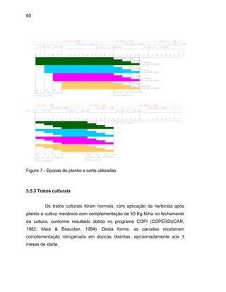 60
Figura 7 - Épocas de plantio e corte utilizadas
3.5.3 Tratos culturais
Os tratos culturais foram normais, com aplicação de herbicida após
plantio e cultivo mecânico com complementação de 50 Kg N/ha no fechamento
da cultura, conforme resultado obtido no programa COPI (COPERSUCAR,
1982; Maia & Beauclair, 1984). Desta forma, as parcelas receberam
complementação nitrogenada em épocas distintas, aproximadamente aos 3
meses de idade.
 