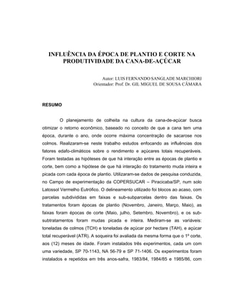 INFLUÊNCIA DA ÉPOCA DE PLANTIO E CORTE NA
PRODUTIVIDADE DA CANA-DE-AÇÚCAR
Autor: LUIS FERNANDO SANGLADE MARCHIORI
Orientador: Prof. Dr. GIL MIGUEL DE SOUSA CÂMARA
RESUMO
O planejamento de colheita na cultura da cana-de-açúcar busca
otimizar o retorno econômico, baseado no conceito de que a cana tem uma
época, durante o ano, onde ocorre máxima concentração de sacarose nos
colmos. Realizaram-se neste trabalho estudos enfocando as influências dos
fatores edafo-climáticos sobre o rendimento e açúcares totais recuperáveis.
Foram testadas as hipóteses de que há interação entre as épocas de plantio e
corte, bem como a hipótese de que há interação do tratamento muda inteira e
picada com cada época de plantio. Utilizaram-se dados de pesquisa conduzida,
no Campo de experimentação da COPERSUCAR – Piracicaba/SP, num solo
Latossol Vermelho Eutrófico. O delineamento utilizado foi blocos ao acaso, com
parcelas subdivididas em faixas e sub-subparcelas dentro das faixas. Os
tratamentos foram épocas de plantio (Novembro, Janeiro, Março, Maio), as
faixas foram épocas de corte (Maio, julho, Setembro, Novembro), e os sub-
subtratamentos foram mudas picada e inteira. Mediram-se as variáveis:
toneladas de colmos (TCH) e toneladas de açúcar por hectare (TAH), e açúcar
total recuperável (ATR). A soqueira foi avaliada da mesma forma que o 1º corte,
aos (12) meses de idade. Foram instalados três experimentos, cada um com
uma variedade, SP 70-1143, NA 56-79 e SP 71-1406. Os experimentos foram
instalados e repetidos em três anos-safra, 1983/84, 1984/85 e 1985/86, com
 