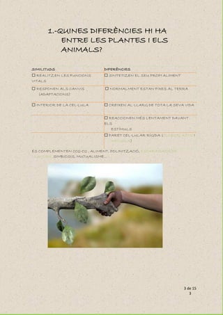 3 de 15
3
1.-QUINES DIFERÈNCIES HI HA
ENTRE LES PLANTES I ELS
ANIMALS?
SIMILITUDS DIFERÈNCIES
REALITZEN LES FUNCIONS
VITALS
SINTETIZEN EL SEU PROPI ALIMENT
RESPONEN ALS CANVIS
(ADAPTACIONS)
NORMALMENT ESTAN FIXES AL TERRA
INTERIOR DE LA CEL·LULA CREIXEN AL LLARG DE TOTA LA SEVA VIDA
REACCIONEN MÉS LENTAMENT DAVANT
ELS
ESTÍMULS
PARET CEL·LULAR RÍGIDA (CLOROPLASTS I
VACUOLA)
ES COMPLEMENTEN CO2-O2 , ALIMENT, POLINITZACIÓ, ESCARIFICACIÓ DE
LLAVORS, SIMBIOSIS, MUTUALISME...
 