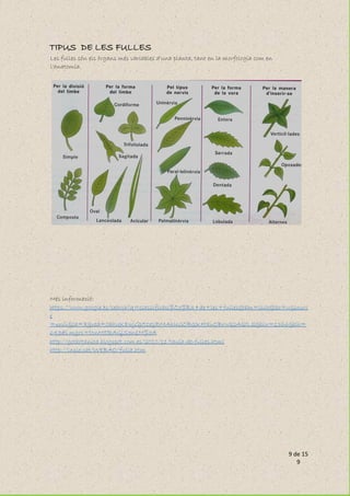 9 de 15
9
TIPUS DE LES FULLES
Les fulles són els òrgans més variables d'una planta, tant en la morfologia com en
l'anatomia.
Més informació:
https://www.google.es/search?q=classificaci%C3%B3+de+les+fulles&tbm=isch&tbo=u&sourc
e
=univ&sa=X&ved=0ahUKEwjGp5zesJDMAhUGOBQKHXuOBrwQsAQILQ&biw=1366&bih=
643#i mgrc=txnM5RAGjS3n1M%3A
http://gotbotanica.blogspot.com.es/2010/11/taula-de-fulles.html
http://insio.cat/WEBAO/fulla.htm
 
