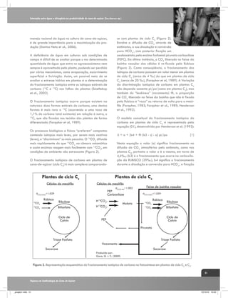 Interação entre água e nitrogênio na produtividade de cana-de-açúcar (Saccharum sp.)

se com plantas de ciclo C3 (Figura 2).
Envolve a difusão de CO2 através de
estômatos, a sua dissolução e conversão
para HCO3-, com posterior fixação em
oxaloacetato pela enzima fosfoenol piruvato-carboxilase
(PEPC). Em última instância, o CO2 liberado no feixe da
bainha vascular das células é re-fixado pela Rubisco
(Figura 2). Como conseqüência, o fracionamento dos
isótopos de carbono possuem um valor menor em plantas
de ciclo C4 (cerca de 4 ‰) do que em plantas de ciclo
C3 (cerca de 20 ‰), (Farquhar et al, 1989). A Variação
da discriminação isotópica de carbono em plantas C4
não depende somente pi/pa (como em plantas C3), mas
também do “leakiness” (vazamento) Φ, a proporção
de CO2 liberado no feixe da bainha que não é fixado
pela Rubisco e “vaza” ou retorna de volta para o mesófilo (Farquhar, 1983; Farquhar et al., 1989; Henderson
et al., 1992).

manejo racional da água na cultura de cana-de-açúcar,
é de grande importância para a maximização da produção (Dantas Neto et al., 2006).
A deficiência de água em culturas sob condições de
campo é difícil de se avaliar porque u ma determinada
quantidade de água que entra no agroecossistema nem
sempre é aproveitada pela planta, podendo ser perdida
por vários mecanismos, como evaporação, escorrimento
superficial e lixiviação. Assim, um possível meio de se
avaliar o estresse hídrico em plantas é a determinação
do fracionamento isotópico entre os isótopos estáveis de
carbono (12C e 13C) nas folhas de plantas (Smeltekop
et al., 2002).
O fracionamento isotópico ocorre porque existem na
natureza duas formas estáveis do carbono, uma destas
formas é mais rara o 13C (ocorrendo a uma taxa de
1,1% do carbono total existente) em relação à outra, o
12
C, que são fixadas nos tecidos das plantas de forma
diferenciada (Farquhar et al, 1989).

O modelo conceitual do fracionamento isotópico do
carbono em plantas de ciclo C4 é representado pela
equação (01), desenvolvida por Henderson et al. (1992):

Os processos biológicos e físicos “preferem” compostos
contendo isótopos mais leves, por serem mais reativos
(leves), e “discriminam” os mais pesados. O 12CO2 difunde
mais rapidamente do que 13CO2 na câmara estomática
e assim enzimas reagem mais facilmente com 12CO2, em
condições de ambiente não estressante (Figura 2).

Δ = a + [b4 + Φ (b3 - s) - a] pi/pa	

Nesta equação o valor (a) significa fracionamento na
difusão do CO2 atmosférico pelo estômato, como nas
plantas C3, portanto o valor a é o mesmo, em torno de
4,4‰; (b3) é o fracionamento que ocorre na carboxilação da RUBISCO (29‰); b4 significa o fracionamento
durante a dissolução e conversão para HCO3-, e fixação

O fracionamento isotópico de carbono em plantas de
cana-de-açúcar (ciclo C4) é mais complexo comparando-

Plantas de ciclo C4

Plantas de ciclo C3
Células do mesófilo

Células do mesófilo
áHCO3-mal~1.002

PEP
Carboxilase

áCO2-CH2O=1.029
CO2

Rubisco

12

Ribulose
Bifosfato

CO2

13

Ciclo de
Calvin

[1]

H12CO3H13CO3-

Malato

Feixe de bainha vascular
áCO2-CH2O=1.029
CO2

12

Rubisco

Ribulose
Bifosfato

CO2

13

Ciclo de
Calvin

PEP
Piruvato

Triose Fosfato

Vazamento

Sacarose

Triose Fosfato
Sacarose

Produzido por:
Gava, G. J. C. (2009)

Figura 2. Representação esquemática do fracionamento isotópico de carbono na fotossíntese em plantas de ciclo C3 e C4.
51
Tópicos em Ecofisiologia da Cana de Açúcar

_projeto1.indb 51

13/10/10 10:22

 