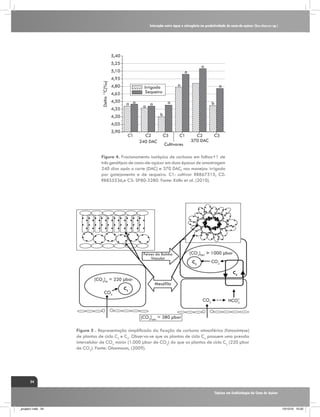 Interação entre água e nitrogênio na produtividade de cana-de-açúcar (Saccharum sp.)

5,40
5,25

Delta 13C(% )

5,10

a

a

4,95
4,80
4,65
4,50
4,35

a

Irrigado
Sequeiro
a a

a

a

a a

b

b

4,20
4,05
3,90

C1

C2
240 DAC

C3

C1

Cultivares

C2
370 DAC

C3

Figura 4. Fracionamento isotópico de carbono em folhas+1 de
três genótipos de cana-de-açúcar em duas épocas de amostragem
240 dias após o corte (DAC) e 370 DAC, nos manejos: irrigado
por gotejamento e de sequeiro. C1: cultivar RB867515, C2:
RB855536,e C3: SP80-3280. Fonte: Kölln et al. (2010).

Feixes da Bainha
Vascular

[CO2]M ≈ 220 µbar
CO2

C3

[CO2]FBV > 1000 µbar
CO2

C3

C4
Mesófilo
CO2

HCO3

[CO2]atm ≈ 380 µbar
Figura 5 . Representação simplificada da fixação de carbono atmosférico (fotossíntese)
de plantas de ciclo C3 e C4. Observa-se que as plantas de ciclo C4 possuem uma pressão
intercelular de CO2 maior (1.000 µbar de CO2) do que as plantas de ciclo C3 (220 µbar
de CO2). Fonte: Ghannoum, (2009).

54
Tópicos em Ecofisiologia da Cana de Açúcar

_projeto1.indb 54

13/10/10 10:22

 