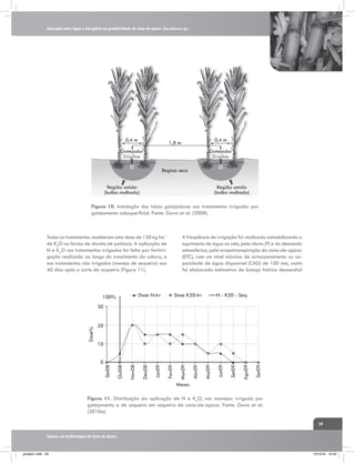 Interação entre água e nitrogênio na produtividade de cana-de-açúcar (Saccharum sp.)

0,4 m

0,4 m

1,8 m

Gotejador
Dripline

Gotejador
Dripline
Regiao seca

Região umida
(bulbo molhado)

Região umida
(bulbo molhado)

Figura 10. Instalação dos tubos gotejadores nos tratamentos irrigados por
gotejamento subsuperficial. Fonte: Gava et al. (2008).

Todos os tratamentos receberam uma dose de 150 kg ha-1
de K2O na forma de cloreto de potássio. A aplicação de
N e K2O nos tratamentos irrigados foi feita por fertirrigação realizada ao longo do crescimento da cultura, e
nos tratamentos não irrigados (manejo de sequeiro) aos
40 dias após o corte da soqueira (Figura 11).

A freqüência de irrigação foi realizada contabilizando o
suprimento de água no solo, pela chuva (P) e da demanda
atmosférica, pela evapotranspiração da cana-de-açúcar
(ETC), com um nível máximo de armazenamento ou capacidade de água disponível (CAD) de 100 mm, assim
foi elaborada estimativa de balaço hídrico descendial

Dose N-Irr

100%

Dose K20-lrr

N - K20 - Seq

20

Set09

Ago09

Set09

Jun09

Mai09

Abr09

Mar09

Fev09

Jan09

Dez08

Nov08

0

Out08

10

Set08

Dose%

30

Meses
Figura 11. Distribuição da aplicação de N e K2O, nos manejos: irrigado por
gotejamento e de sequeiro em soqueira de cana-de-açúcar. Fonte: Gava et al.
(2010a).
59
Tópicos em Ecofisiologia da Cana de Açúcar

_projeto1.indb 59

13/10/10 10:22

 