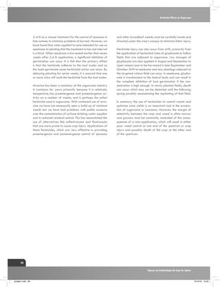Herbicide Effects on Sugarcane

2-4-D as a rescue treatment for the control of Ipomoea in
late summer to minimize problems at harvest. However, we
have found that when applied to cane intended for use as
seedcane at planting that the treatment to harvest interval
is critical. When seedcane is harvested earlier than seven
weeks after 2,4-D application, a significant inhibition of
germination can occur. It is felt that the primary effect
is that the herbicide adheres to the bud scales and as
the buds germinate some herbicidal action can occur. By
delaying planting for seven weeks, it is assured that one
or more rains will wash the herbicide from the bud scales.
Atrazine has been a mainstay of the sugarcane industry
in Louisiana for years primarily because it is relatively
inexpensive, has preemergence and postemergence activity on a number of weeds, and is perhaps the safest
herbicide used in sugarcane. With continued use of atrazine we have not necessarily seen a build up of resistant
weeds but we have had problems with public concerns
over the contamination of surface drinking water supplies
and in reduced residual control. This has necessitated the
use of alternatives like sulfentrazone and flumioxazin
that are more prone to cause crop injury. Applications of
these herbicides, which are very effective in providing
preemergence and postemergence control of Ipomoea

and other broadleaf weeds, must be carefully made and
directed under the crop’s canopy to minimize foliar injury.
Herbicide injury can also occur from drift, primarily from
the application of herbicidal rates of glyphosate to fallow
fields that are adjacent to sugarcane. Low dosages of
glyphosate are also applied in August and September to
ripen ratoon cane to be harvested in late September and
October. Drift to seedcane and new plantings adjacent to
the targeted ratoon field can occur. In seedcane, glyphosate is translocated to the lateral buds and can result in
the complete inhibition of bud germination if the concentration is high enough. In newly planted fields, death
can occur which may not be detected until the following
spring possibly necessitating the replanting of that field.
In summary, the use of herbicides to control weeds and
optimize cane yields is an important tool in the production of sugarcane in Louisiana. However, the margin of
selectivity between the crop and weed is often narrow
and growers must be constantly reminded of the consequences of a miss-application, which will result in either
poor weed control at one end of the spectrum or crop
injury and possibly death of the crop at the other end
of the spectrum.

88
Tópicos em Ecofisiologia da Cana de Açúcar

_projeto1.indb 88

13/10/10 10:22

 