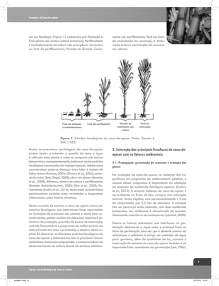Fenologia da Cana-de-açúcar

em sua fenologia (Figura 1), conhecidos por: Brotação e
Emergência dos brotos (colmos primários); Perfilhamento
e Estabelecimento da cultura (da emergência dos brotos
ao final do perfilhamento); Período do Grande Cresci-

Fase de brotação
e estabelecimento

Fase de perfilamento

mento (do perfilhamento final ao inicio
de acumulação da sacarose), e Maturação (intensa acumulação de sacarose
nos colmos).

Período de
crescimento dos
colmos

Fase de
maturação

Figura 1. Estádios fenológicos da cana-de-açúcar. Fonte: Gascho e
Shih (1983)
Muitas características morfológicas da cana-de-açúcar
podem ajudar a entender a questão de como a água
é utilizada pela planta e como se comporta sob baixas
temperatura, conseqüentemente, esclarecer certos padrões
fenológicos encontrados em regiões tropicais. Dentre estas
características pode-se destacar área foliar e número de
folhas (Inman-Bamber, 2004; Oliveira et al., 2005), senescência foliar (Smit; Singel, 2006), altura da planta (Almeida
et al., 2008), diâmetro, número de colmos e perfilhamento
(Ramesh; Mahadevaswany, 2000; Silva et al., 2008), florescimento (Araldi, et al., 2010), sendo essas características
geneticamente variadas entre variedades e largamente
influenciadas pelos fatores climáticos.
Nessa sucessão de eventos, a cana-de-açúcar passa por
estádios fenológicos que determinam fases importantes
na formação da produção das plantas e sendo bem caracterizados, podem auxiliar em pesquisas relativas à estimativa de produção, previsão de época de maturação,
controle fitossanitário e programas de melhoramento da
cultura Diante dos fatos supracitados, o objetivo deste capítulo foi descrever os diferentes padrões fenológicos da
cana-de-açúcar e relacioná-los com os principais fatores
ambientais, buscando compreender o comportamento do
desenvolvimento da cultura diante do estresse abiótico.

2. Interação das principais fenofases da cana-deaçúcar com os fatores ambientais
2.1. Propagação: germinação de sementes e brotação das
gemas
Na produção de cana-de-açúcar, as sementes têm importância em programas de melhoramento genético, o
sucesso desses programas é dependente da obtenção
de sementes de qualidade fisiológica superior (Caieiro
et al., 2010). A semente botânica de cana-de-açúcar é
na realidade um fruto, do tipo cariopse com coloração
marrom, forma elípitica, com aproximadamente 1,5 mm
de comprimento por 0,5 mm de diâmetro. A cariopse
tem um pericarpo muito reduzido, com duas epidermes
justapostas, seu cotilédone é denominado de escutelo,
intimamente aderido ao seu endosperma (Lucchesi, 2000).
Dentre os fatores ambientais que interferem na germinação destaca-se a água como o principal fator no
início da germinação, uma vez que a semente precisa ser
reidratada o suficiente e atingir um conteúdo de água
para germinar, além da qualidade de luz, durante a
maturação da semente da cana-de-açúcar também é um
importante fator controlador da germinação (Lee, 1984).

9
Tópicos em Ecofisiologia da Cana de Açúcar

_projeto1.indb 9

13/10/10 10:21

 