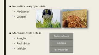 ■ Importância agropecuária:
• Herbivoria
• Colheita
■ Mecanismos de defesa:
• Atração
• Resistência
• Inibição
Polinizadores
Intoxicações
Acúleos
 
