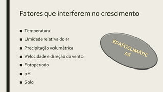 Fatores que interferem no crescimento
■ Temperatura
■ Umidade relativa do ar
■ Precipitação volumétrica
■ Velocidade e direção do vento
■ Fotoperíodo
■ pH
■ Solo
 