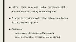 ■ Colmo: caule com nós (folha correspondente) e
entrenós (ocos ou cheios) formando gomos
■ A forma de crescimento do colmo determina o hábito
de crescimento da planta
■ Apresenta:
• Uma zona meristemática apical (gema apical)
• Zonas meristemáticas secundarias (gemas laterais)
 