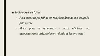 ■ Índice de área foliar:
• Área ocupada por folhas em relação a área de solo ocupada
pela planta
• Maior para as gramíneas - maior eficiência no
aproveitamento da luz solar em relação as leguminosas
 