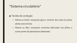 “Sistema circulatório”
■ Tecidos de condução:
• Xilema ou lenho: transporta água e minerais das raízes às partes
aéreas (seiva bruta)
• Floema ou líber: transporta nutrientes fabricados nas folhas a
outras partes da planta(seiva elaborada)
 