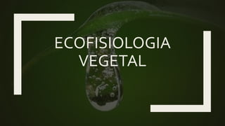 ECOFISIOLOGIA
VEGETAL
 