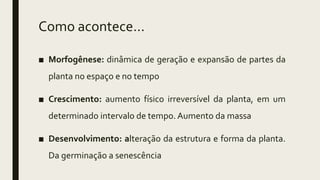 ■ Morfogênese: dinâmica de geração e expansão de partes da
planta no espaço e no tempo
■ Crescimento: aumento físico irreversível da planta, em um
determinado intervalo de tempo. Aumento da massa
■ Desenvolvimento: alteração da estrutura e forma da planta.
Da germinação a senescência
Como acontece...
 