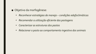 ■ Objetivo da morfogênese:
• Reconhecer estratégias de manejo – condições edafoclimáticas
• Recomendar a utilização eficiente das pastagens
• Caracterizar as estruturas dos pastos
• Relacionar o pasto ao comportamento ingestivo dos animais
 