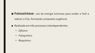 ■ Fotossíntese: uso da energia luminosa para oxidar a H2O e
reduzir o CO2, formando compostos orgânicos
■ Realizada em três processos interdependentes:
• Difusivo
• Fotoquímico
• Bioquímico
 