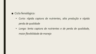 ■ Ciclo fenológico:
• Curto: rápida captura de nutrientes, alta produção e rápida
perda de qualidade
• Longo: lenta captura de nutrientes e de perda de qualidade,
maior flexibilidade de manejo
 