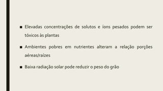 ■ Elevadas concentrações de solutos e íons pesados podem ser
tóxicos às plantas
■ Ambientes pobres em nutrientes alteram a relação porções
aéreas/raízes
■ Baixa radiação solar pode reduzir o peso do grão
 