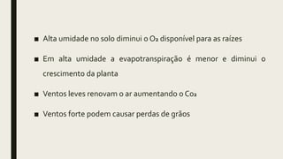 ■ Alta umidade no solo diminui o O2 disponível para as raízes
■ Em alta umidade a evapotranspiração é menor e diminui o
crescimento da planta
■ Ventos leves renovam o ar aumentando o C02
■ Ventos forte podem causar perdas de grãos
 
