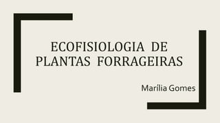 ECOFISIOLOGIA DE
PLANTAS FORRAGEIRAS
Marília Gomes
 