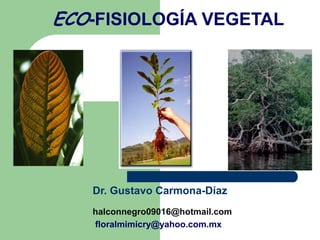 ECO-FISIOLOGÍA VEGETAL Dr. Gustavo Carmona-Díaz halconnegro09016@hotmail.com floralmimicry@yahoo.com.mx 