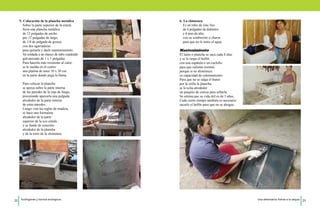 5. Colocación de la plancha metálica 
Sobre la parte superior de la estufa 
lleva una plancha metálica 
de 12 pulgadas de ancho 
por 12 pulgadas de largo, 
de 1/8 de pulgada de grosor, 
con dos agarraderas 
para quitarla y darle mantenimiento. 
Va soldada a un marco de tubo cuadrado 
galvanizado de 1 x 1 pulgadas. 
Para hacerla más resistente al calor, 
se le suelda en el centro 
una platina de unos 10 x 20 cm. 
en la parte donde pega la llama. 
Para colocar la plancha 
se apoya sobre la parte interna 
de las paredes de la caja de fuego, 
procurando apoyarla una pulgada 
alrededor de la parte interna 
de estas paredes. 
Luego, con las reglas de madera, 
se hace una formaleta 
alrededor de la parte 
superior de la eco estufa 
y se funde de concreto 
alrededor de la plancha 
y de la torre de la chimenea. 
6. La chimenea 
Es un tubo de zinc liso 
de 4 pulgadas de diámetro 
y 6 pies de alto, 
con su sombrerito o charra 
para que no le entre el agua. 
Mantenimiento 
El latón o plancha se saca cada 8 días 
y se le raspa el hollín 
con una espátula o un cuchillo 
para que caliente normal, 
porque si no disminuye 
su capacidad de calentamiento. 
Para que no se salga el humo 
por la orilla la plancha, 
se le echa alrededor 
un poquito de ceniza para sellarla. 
Se estima que su vida útil es de 5 años. 
Cada cierto tiempo también es necesario 
sacarle el hollín para que no se ahogue. 
22 Ecofogones y hornos ecológicos. Una alternativa frente a la sequía 23 
 