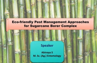 Speaker
Abinaya S
M. Sc. (Ag.) Entomology
Eco-friendly Pest Management Approaches
for Sugarcane Borer Complex
 