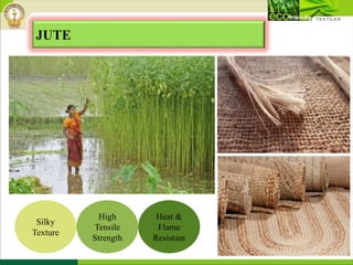 JUTE
Silky
Texture
High
Tensile
Strength
Heat &
Flame
Resistant
 