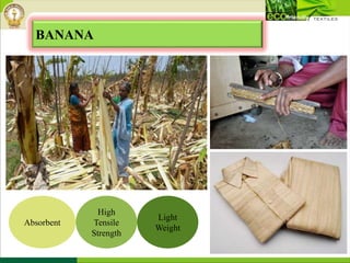 BANANA
Absorbent
High
Tensile
Strength
Light
Weight
 