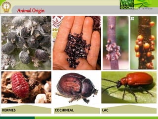 Animal Origin
KERMES COCHINEAL LAC
 