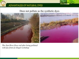 ADVANTAGESOF NATURALDYES
Does not pollute as the synthetic dyes
The Jian River flows red after being polluted
with dye from an illegal workshop
 