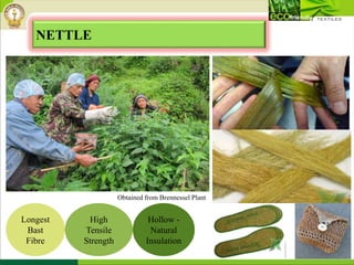 NETTLE
Longest
Bast
Fibre
High
Tensile
Strength
Hollow -
Natural
Insulation
Obtained from Brennessel Plant
 