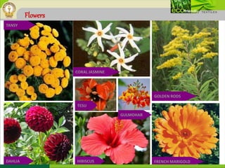 Flowers
TANSY
DAHLIA
CORAL JASMINE
GOLDEN RODS
FRENCH MARIGOLDHIBISCUS
TESU
GULMOHAR
 