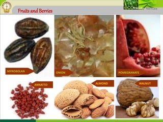 Fruits and Berries
MYROBOLAN POMEGRANATEONION
WALNUTALMONDANNATTO
 