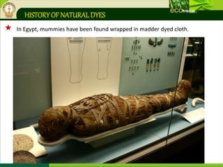 HISTORY OF NATURALDYES
 In Egypt, mummies have been found wrapped in madder dyed cloth.
 