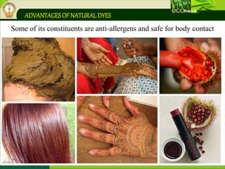 ADVANTAGESOF NATURALDYES
Some of its constituents are anti-allergens and safe for body contact
 