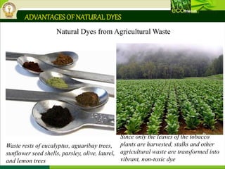 ADVANTAGESOF NATURALDYES
Natural Dyes from Agricultural Waste
Waste rests of eucalyptus, aguaribay trees,
sunflower seed shells, parsley, olive, laurel,
and lemon trees
Since only the leaves of the tobacco
plants are harvested, stalks and other
agricultural waste are transformed into
vibrant, non-toxic dye
 