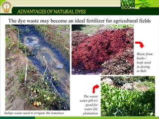 The dye waste may become an ideal fertilizer for agricultural fields
ADVANTAGESOF NATURALDYES
Indigo waste used to irrigate the tomatoes
The waste
water pH it’s
good for
water lily
plantation
Waste from
barks /
leafs used
in dyeing
in Bali
 