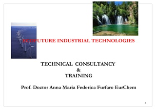 ECOFUTURE INDUSTRIAL TECHNOLOGIES



        TECHNICAL CONSULTANCY
                  &
               TRAINING

Prof. Doctor Anna Maria Federica Furfaro EurChem

                                                   1
 