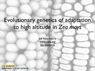 Evolutionary genetics of adaptation
to high altitude in Zea mays  
Jeff Ross-Ibarra	

www.rilab.org	

@jrossibarra	


 