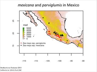mexicana	
  and	
  parviglumis	
  in	
  Mexico

masl

Bradburd et al. Evolution 2013
Huﬀord	
  et	
  al.	
  (2012)	
  PLoS	
  ONE

 