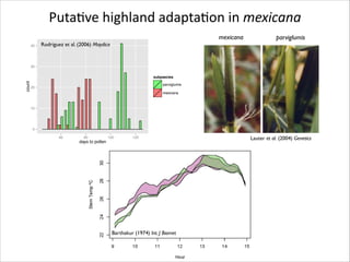 PutaRve	
  highland	
  adaptaRon	
  in	
  mexicana
mexicana
40

parviglumis

Rodriguez et al. (2006) Maydica

30

count

subpsecies
parviglumis

20

mexicana

10

0
60

80

100

120

days to pollen

Barthakur (1974) Int. J Biomet

Lauter et al. (2004) Genetics

 