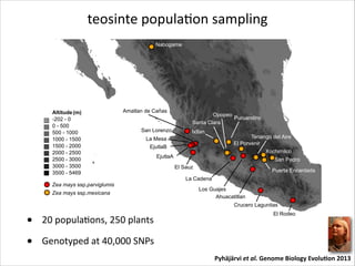 Figures

teosinte	
  populaRon	
  sampling

•

20	
  populaRons,	
  250	
  plants	
  

•

Genotyped	
  at	
  40,000	
  SNPs
Pyhäjärvi	
  et	
  al.	
  Genome	
  Biology	
  Evolu-on	
  2013

 