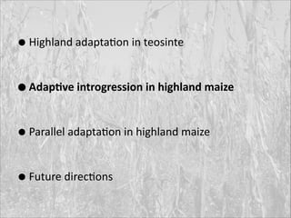 • Highland	
  adaptaRon	
  in	
  teosinte	
  
• Adap-ve	
  introgression	
  in	
  highland	
  maize	
  
• Parallel	
  adaptaRon	
  in	
  highland	
  maize	
  
• Future	
  direcRons

 