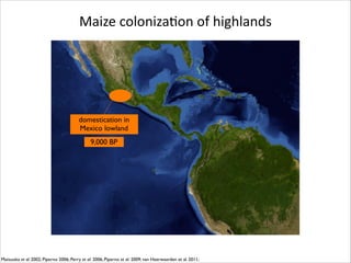 Maize	
  colonizaRon	
  of	
  highlands

domestication in
Mexico lowland
9,000 BP

Matsuoka et al. 2002; Piperno 2006; Perry et al. 2006; Piperno et al. 2009; van Heerwaarden et al. 2011;

 