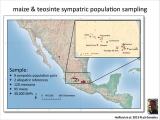 maize	
  &	
  teosinte	
  sympatric	
  populaRon	
  sampling

Ixtlan

Puruandiro
El	
  Porvenir

Santa	
  Clara

Xochimilco

Opopeo
Tenango	
  del	
  Aire

San	
  Pedro
Amatlan

Nabogame

Sample:	
  
✦
✦
✦
✦
✦

9	
  sympatric	
  populaRon	
  pairs	
  
2	
  allopatric	
  references	
  
120	
  mexicana	
  
95	
  maize	
  
40,000	
  SNPs	
  

Huﬀord	
  et	
  al.	
  2013	
  PLoS	
  Gene-cs

 