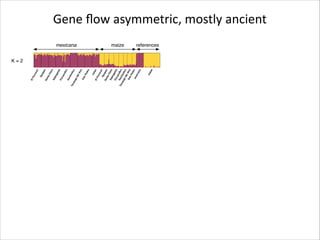 K=7
K=8

K=9
K = 10
K=2
K=3

K=4

K=5
K=6

K=7
K=8

K=9
K = 10

Gene	
  ﬂow	
  asymmetric,	
  mostly	
  ancient
mexicana

maize

references

 